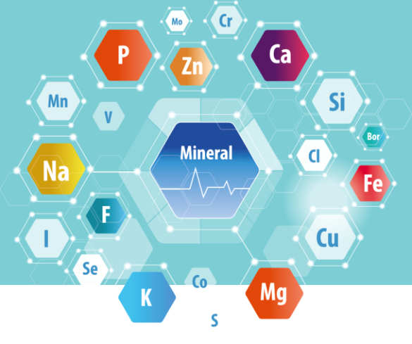 Vitamin-Mineral-Analysen