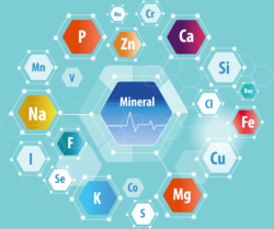 Vitamin-Mineral-Analysen